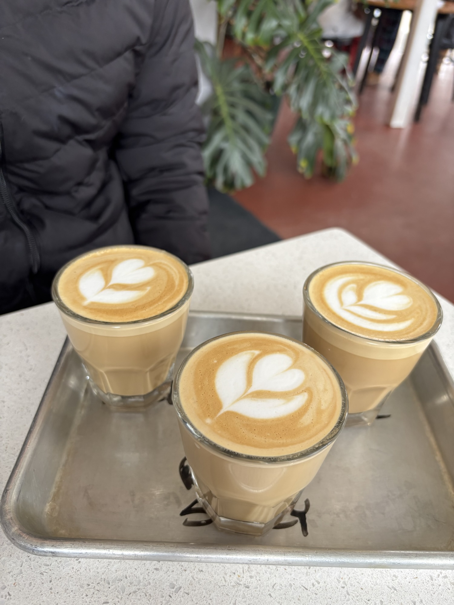 Vertex: Where Coffee Takes Flight in Ann Arbor