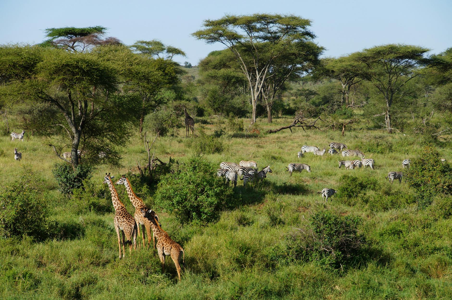 Tanzania Top 5  must see nature spots